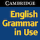 English Grammar in Use Activities
